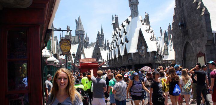 The Wizarding World of Harry Potter